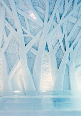 Design by Lilya Pobornikova & Viktor Tsarski