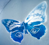 Design by Mark Armstrong & David Ruane