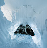 Bedtime Stories. Artists: Stijger Wilfred & Edith van der Wetering