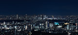 Dark Metropolis 1